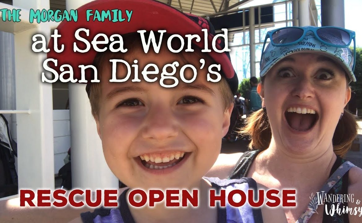 A Tour of Sea World San Diego’s Rescue Facilities