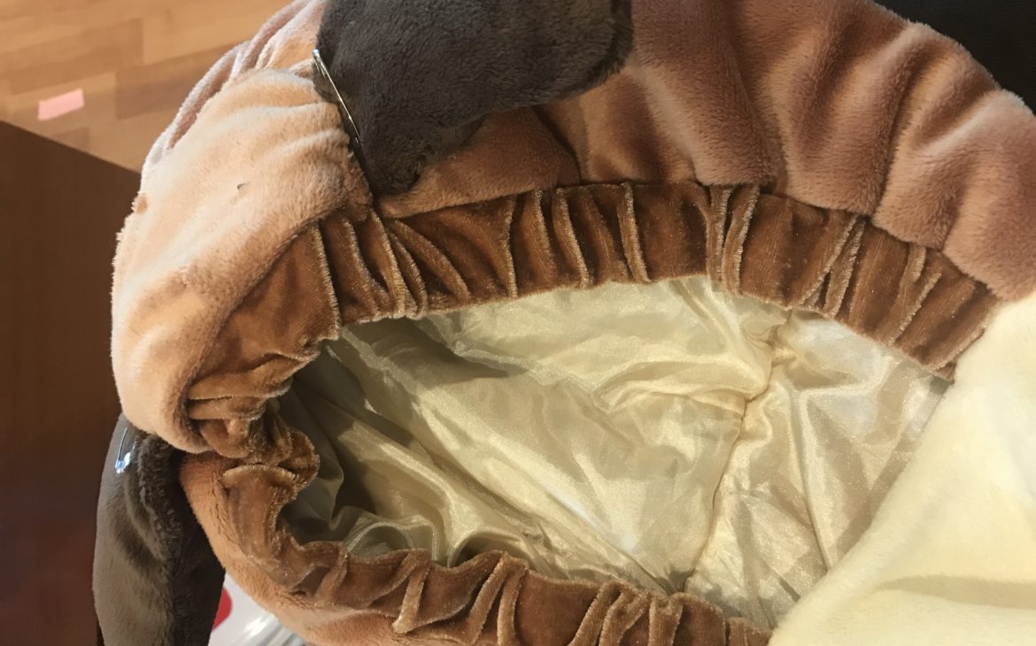 A toddler dog costume being sewn with pins in the ears