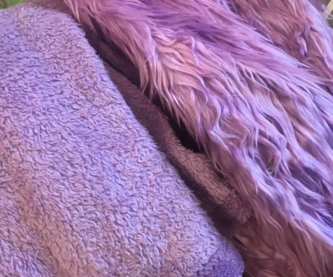 A close up of purple fur material